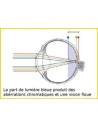 PRiSMA® enfants LiTE  Lunettes de protection anti-lumière bleue 95 %