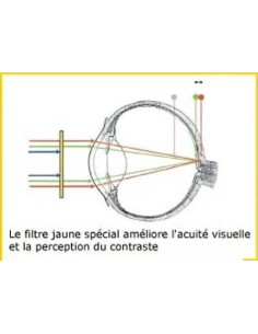 Lunettes PRiSMA® – CLASSIC LiTE95 anti-lumière bleue – E704