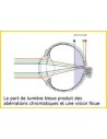 Lunettes PRiSMA® – CLASSIC LiTE95 anti-lumière bleue – E704