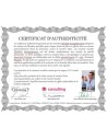 CLiP-ON PRO Brille – CP709 sehr hoher Blaulichtschutz 99%